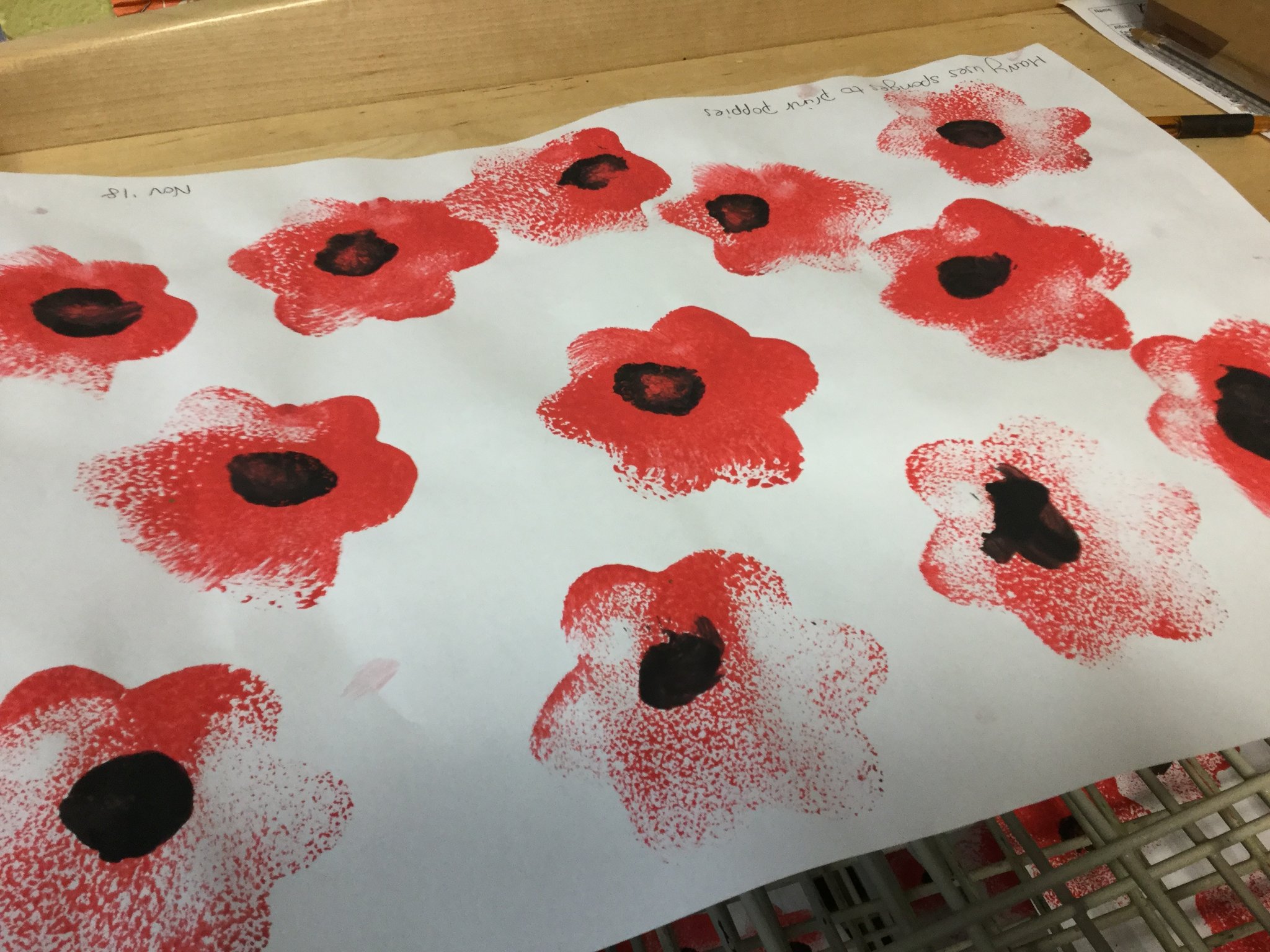 Image of Poppies